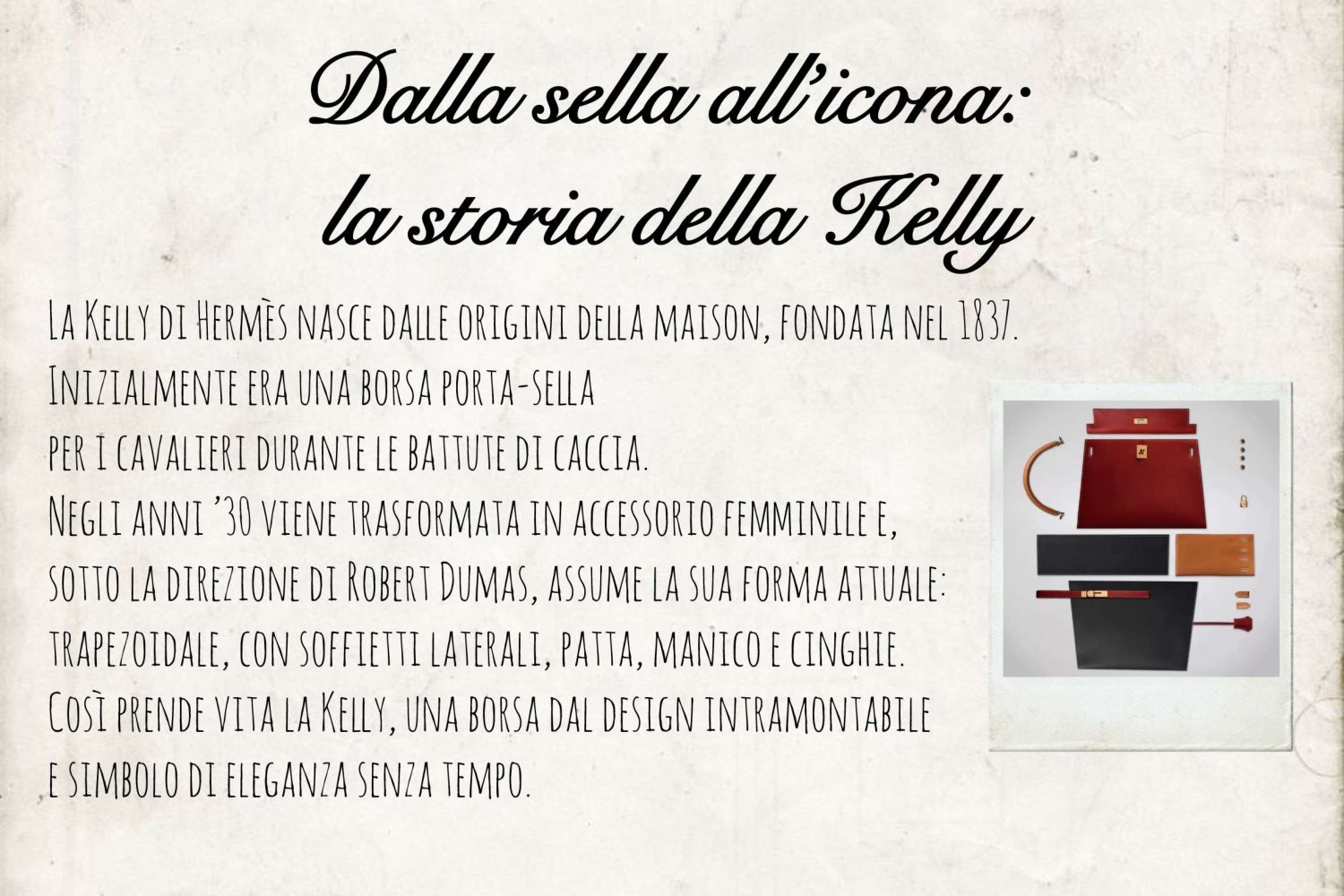 Manuale di tendenze per la pelletteria, pagina 13